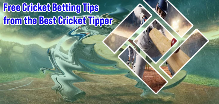 Cricket punter tips